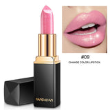 HANDAIYAN Brand Professional Lips Makeup Waterproof Long Lasting Pigment Nude Pink Mermaid Shimmer Lipstick Luxury Makeup